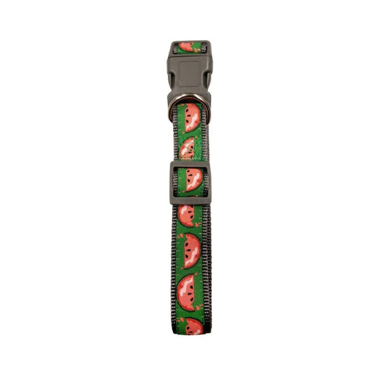 Designer Dog Collar - Watermelon-0