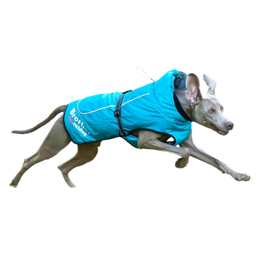 Fashionable Waterproof And Reflective Nylon Pet Raincoat