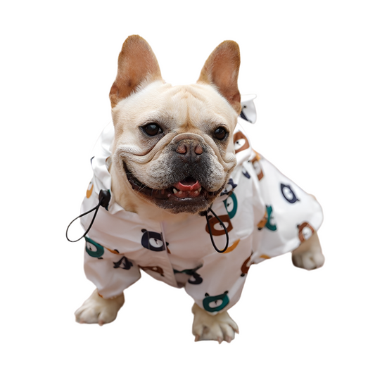 Puppy Paws Waterproof Raincoat - Bear Suit Style