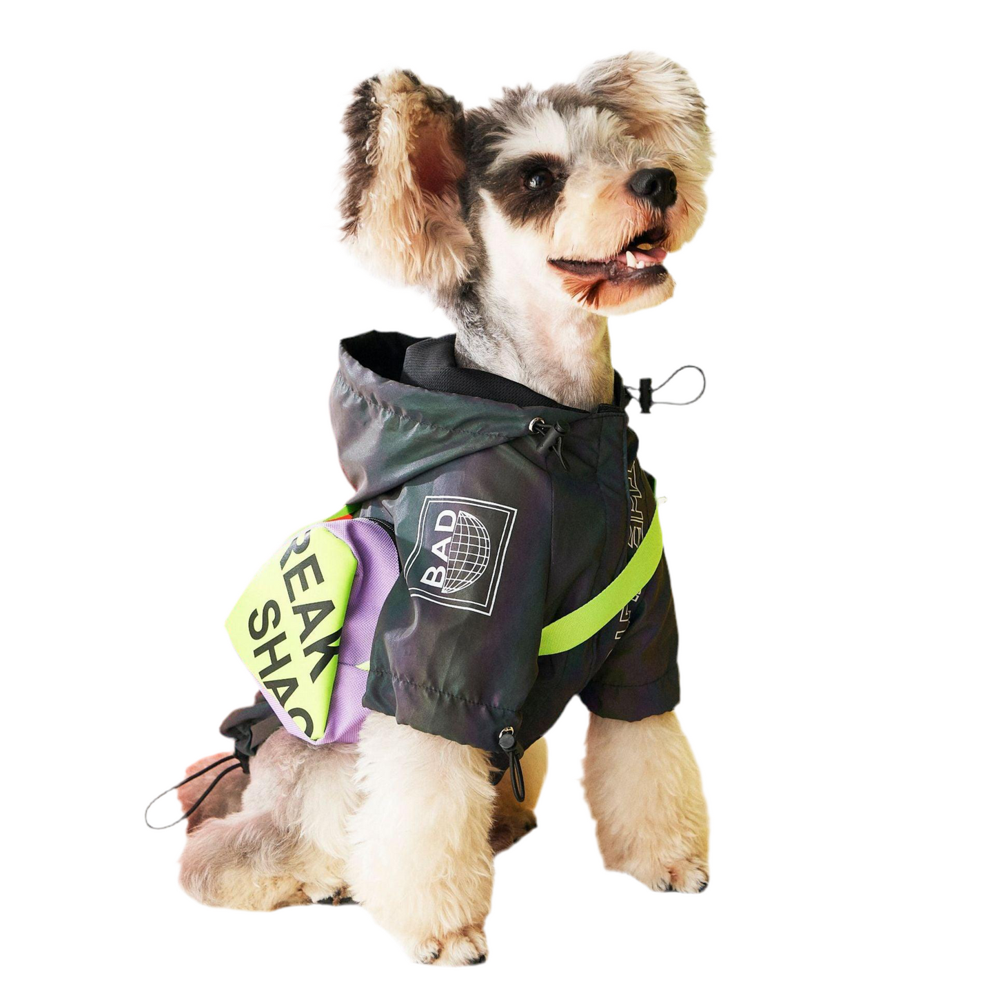 Autumn Symphony Dog Jacket