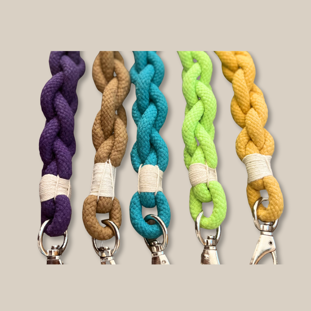 Xena Wanderlust Dog Leash Collection-1