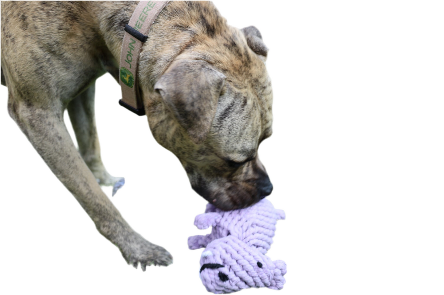 Pippa the Hippo Rope Toy