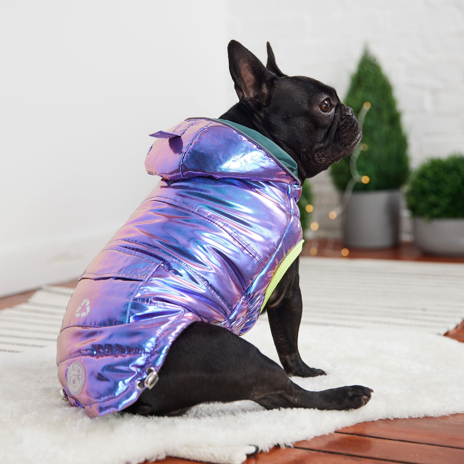 Recycled Parka - Iridescent-3