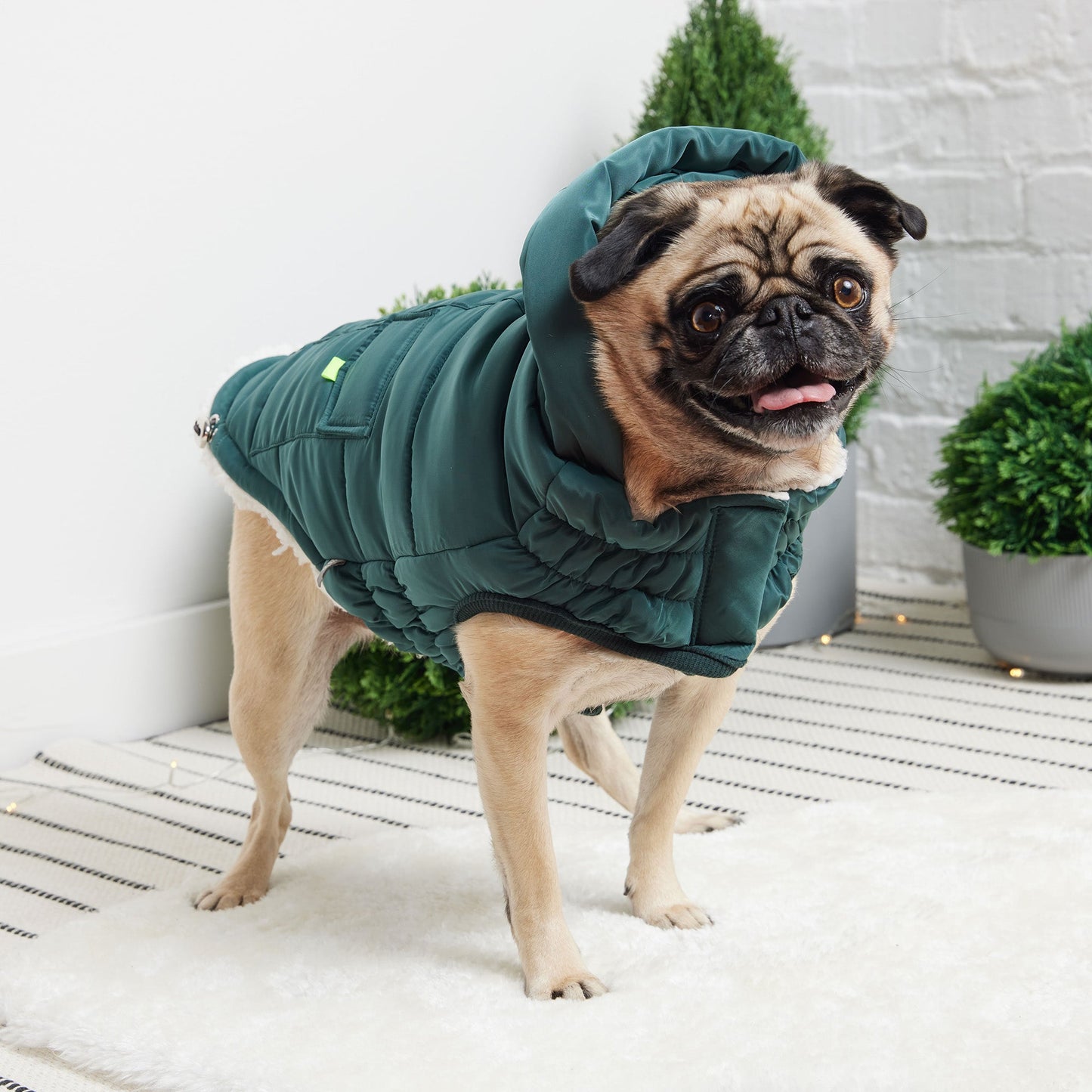 The Puff Parka - Teal-3