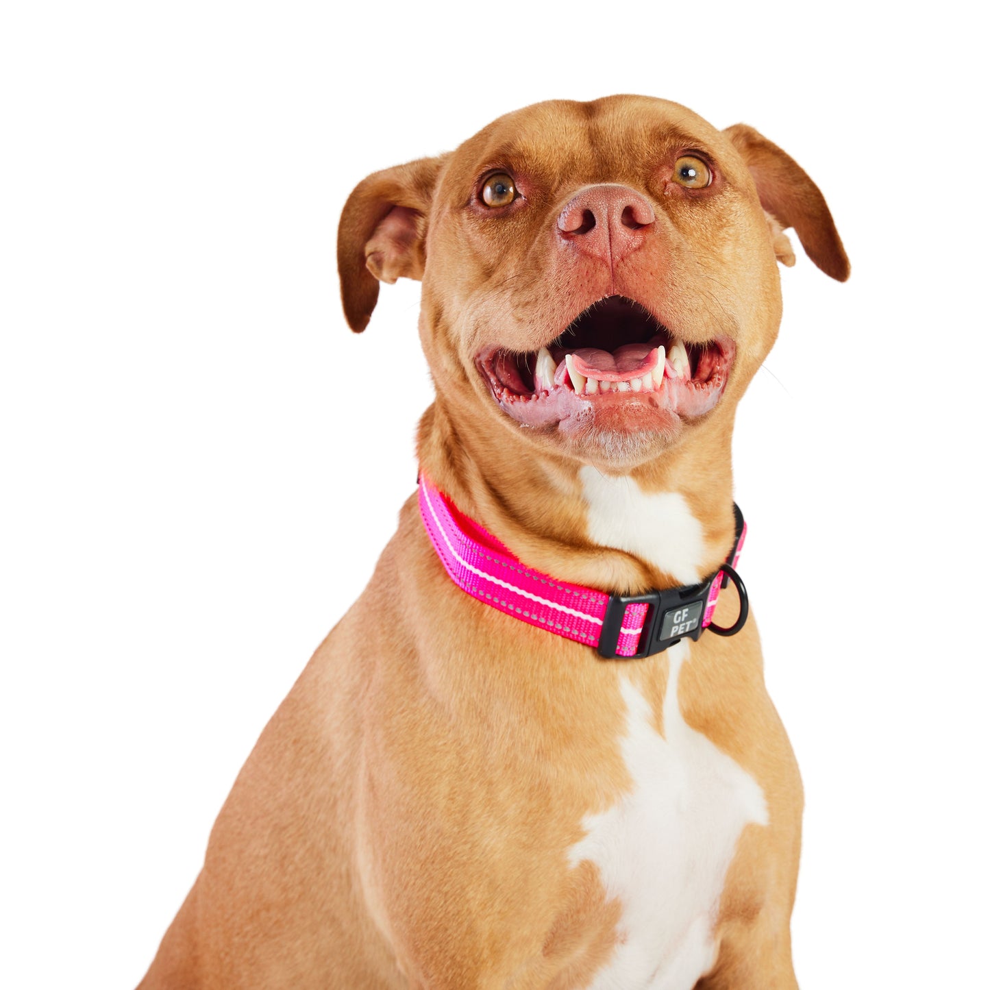 Reflective Collar - Neon Pink-1