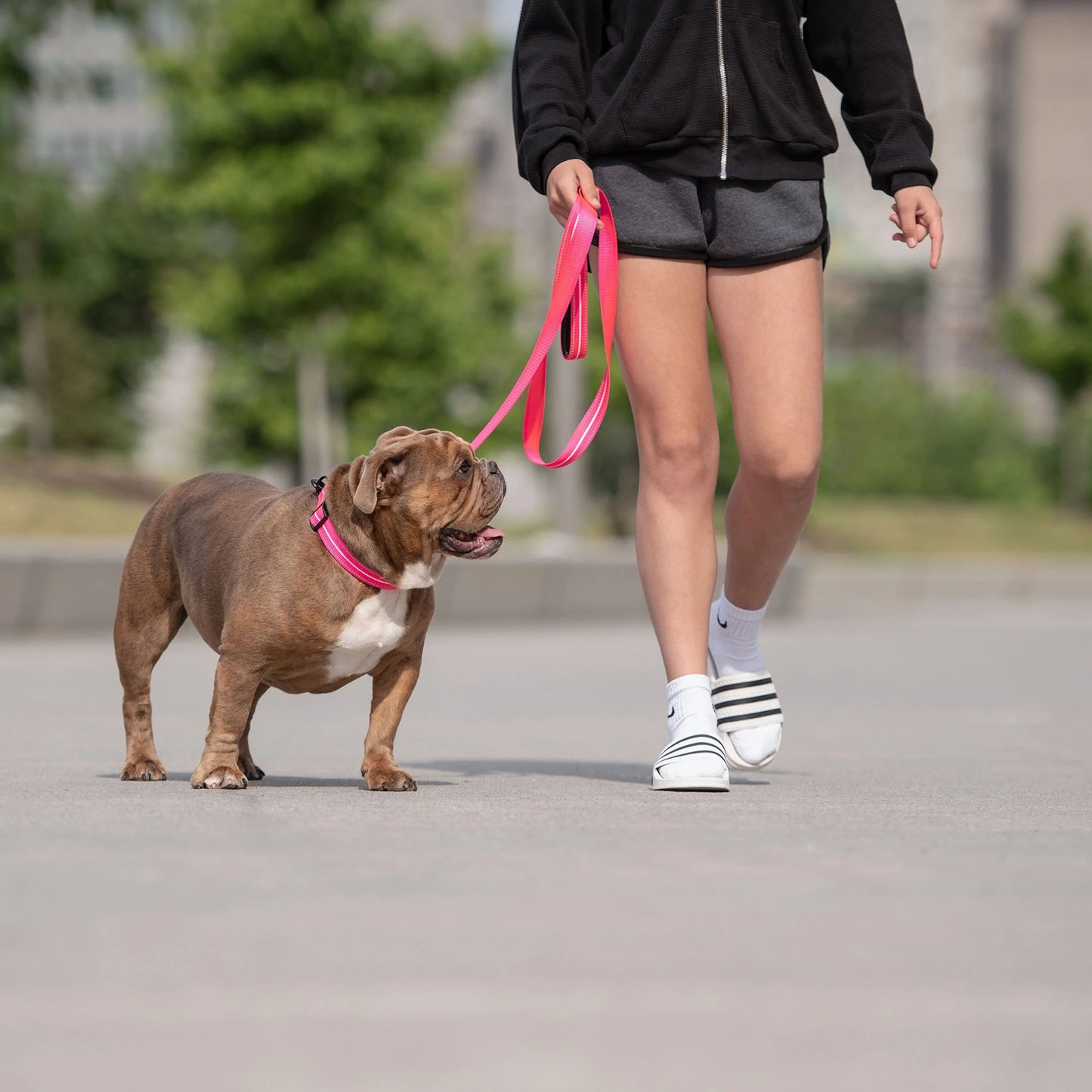 Reflective Leash - Neon Pink-1