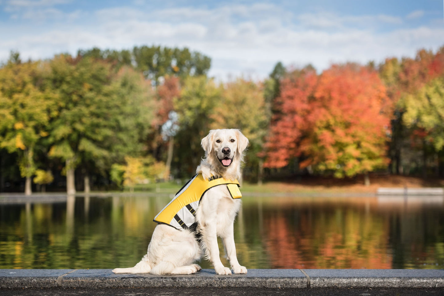 Life Vest - Dog Life Jacket-4