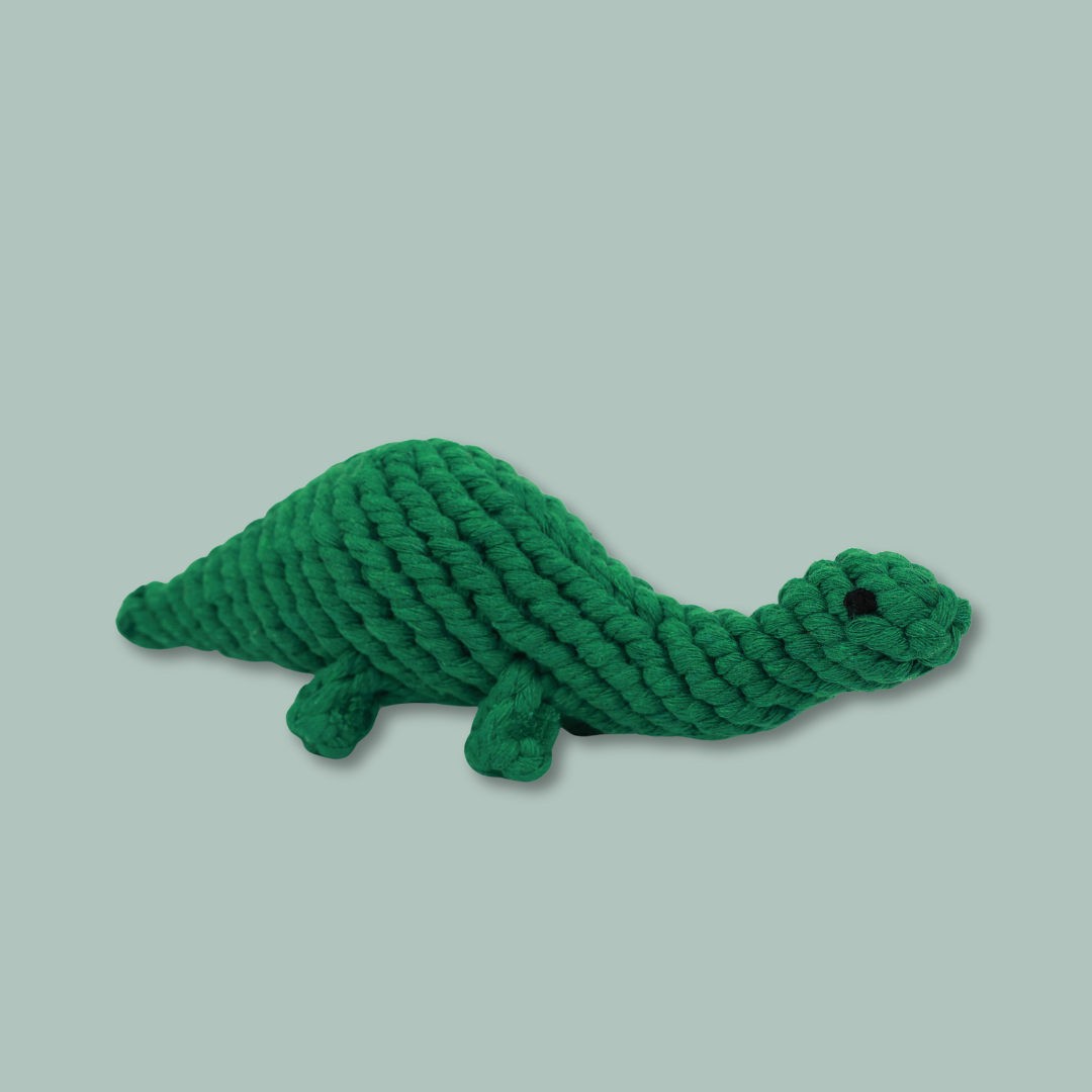 Rex the Green Dinosaur Rope Toy-1