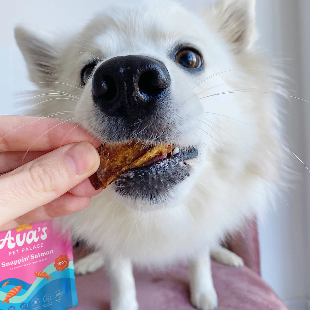 Ava's Pet Palace Crunchy Jerky Dog Treats - Snappin' Salmon-4