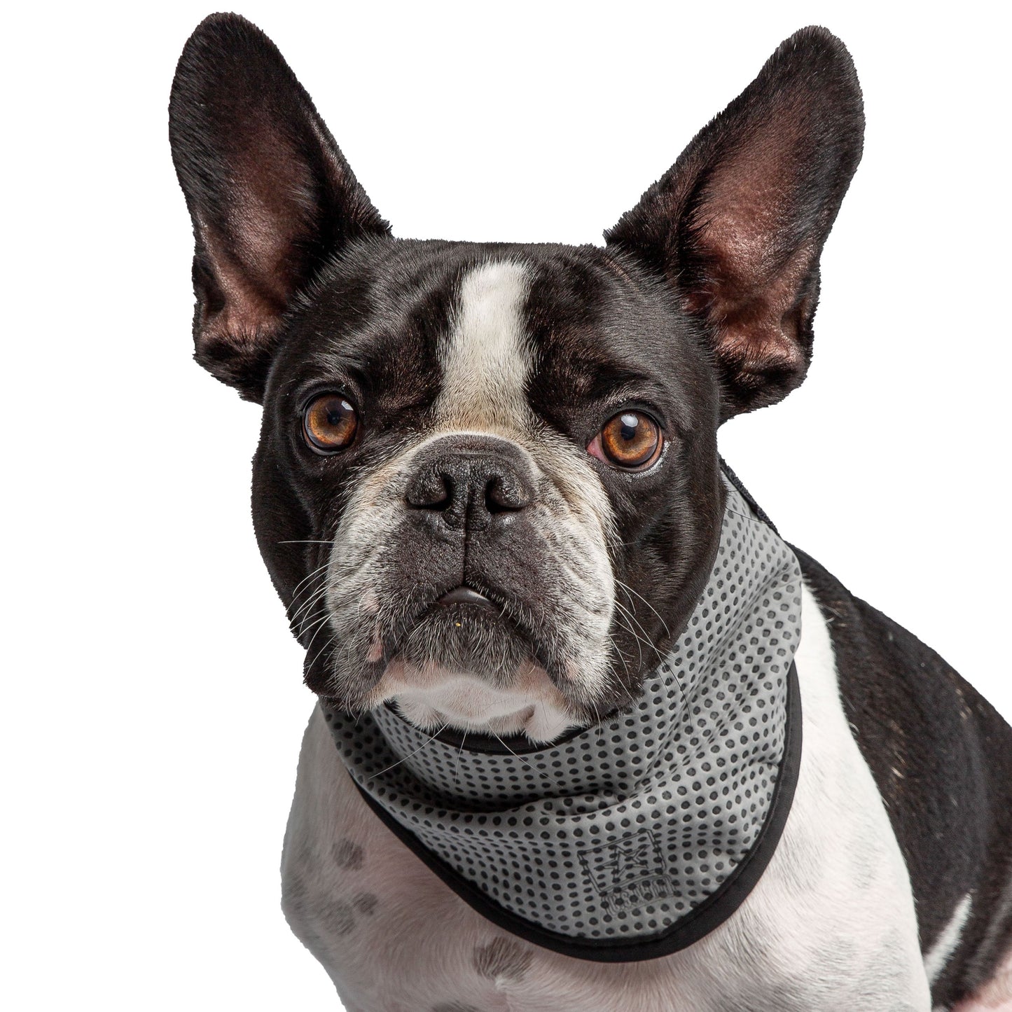 US Army Dog Cooling Bandana - Grey-1