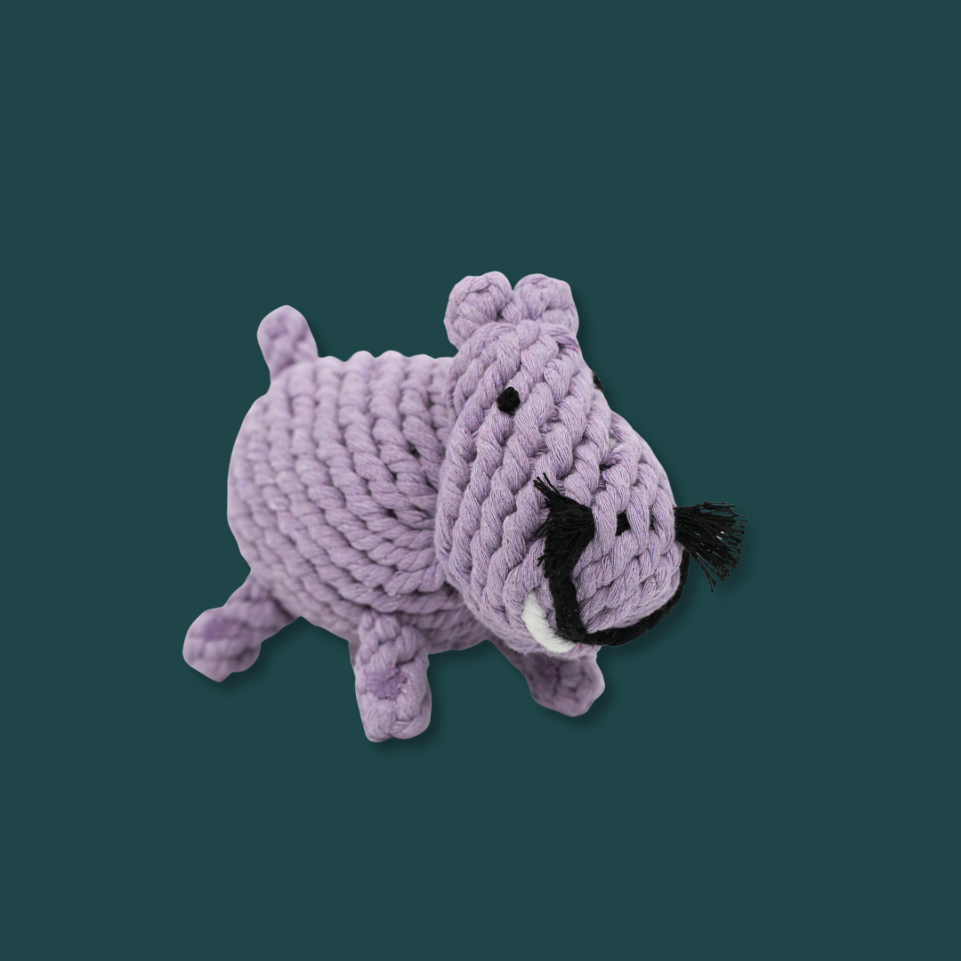 Pippa the Hippo Rope Toy-1