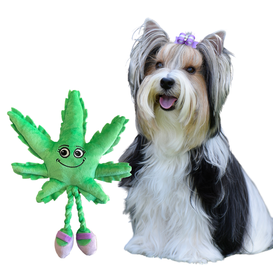 Mary Jane the Weed Leaf 420 Dog Toy-0