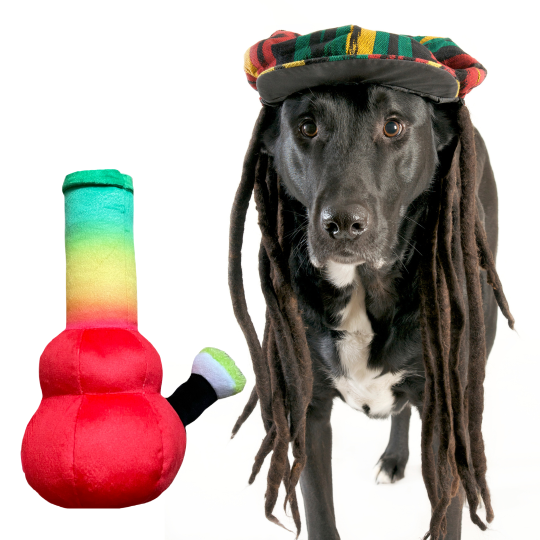 Bo da Bong  420 Dog Toy-2