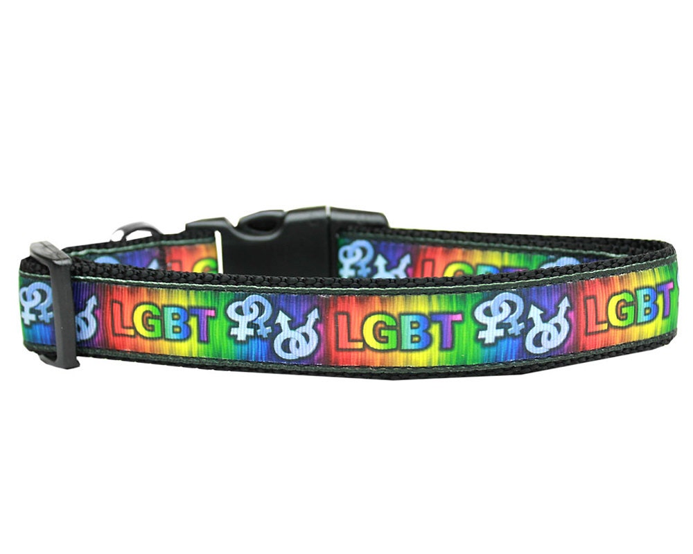 Pet Dog & Cat Nylon Collar or Leash, "LGBT"-2